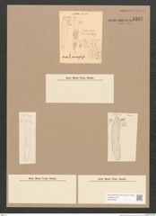 Diatomeae indet. Zeichnungen Sammlung Grunow Nr. 3307 (NHMW-BOT-W0370800)